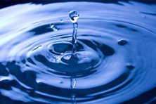 Klipps Wasserwelt Stiftung - Interessantes