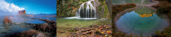 Ausstellung 5: Wasser in unserer Landschaft - Tiere im und am Wasser